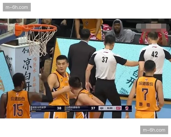 裁判判罚技术细节分析 出界球与打手犯规认定标准 裁判判罚技术细节分析 出界球与打手犯规认定标准